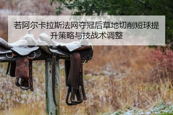 若阿尔卡拉斯法网夺冠后草地切削短球提升策略与技战术调整